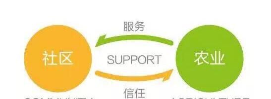 社區(qū)支持農(nóng)業(yè)“讓自己的雙手沾滿泥土”